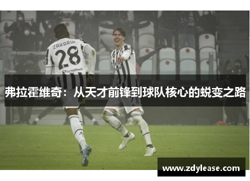 弗拉霍维奇：从天才前锋到球队核心的蜕变之路